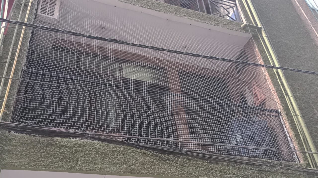Factors to Consider When Choosing Anti-Bird Nets